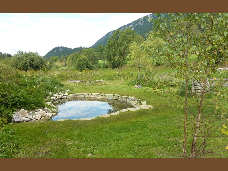 Le bassin d'eau fraîche